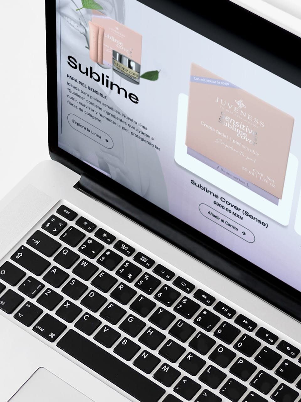 Laptop showing the Sublime product page