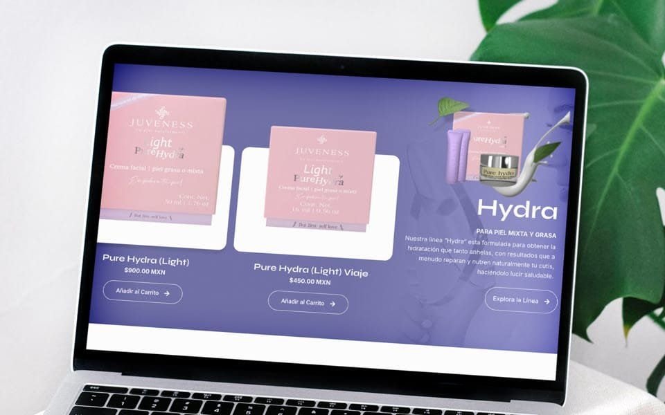Laptop showing the Hydra line page with its three products