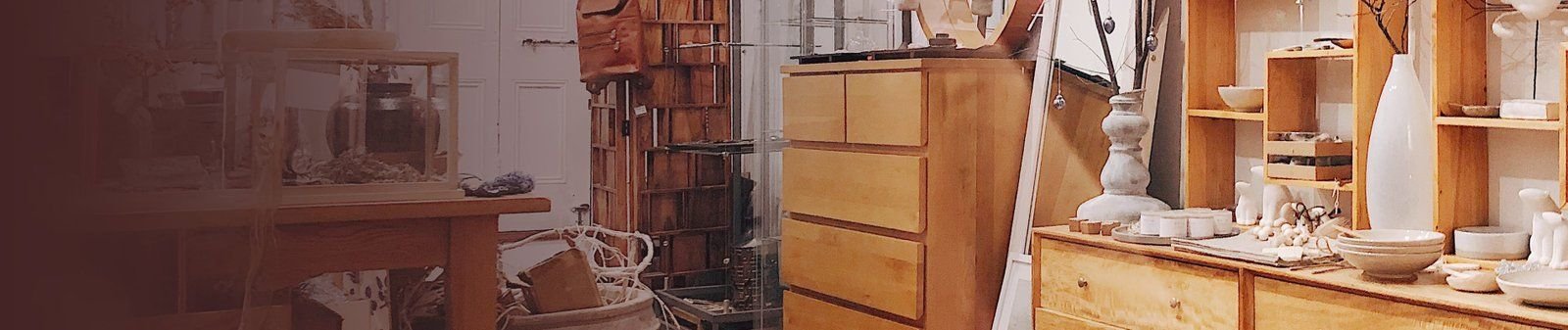 Interior de la tienda con repisas de productos